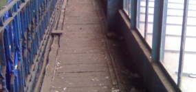 Erkélyek galambmentesítése