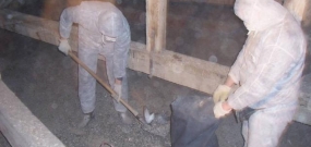 Galambürülék tisztítás, Galambürülék takarítás, padlás fertőtlenítés galambmentesítés